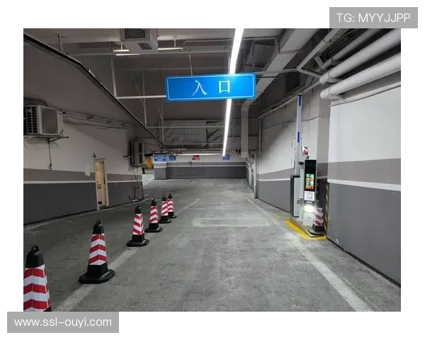 智慧停车系统引导车辆停放 缓解场馆周边交通压力